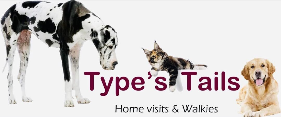 Types Tails Banner